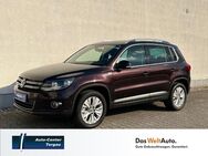 VW Tiguan, 1.4 TSI Life, Jahr 2013 - Torgau