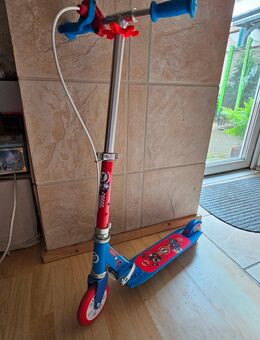 Roller - Hanhofen