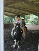 Reiterin sucht Pferd in 58638