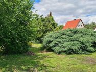 Einfamilienhaus im Osten von Halle mit großem Grundstück - Halle (Saale)