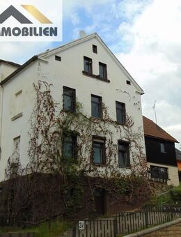 Großes MFH zum Sanieren - Reinsdorf (Sachsen)