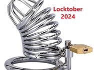 Das erste mal "Locktober" (einen Monat im Peniskäfig) - Flensburg