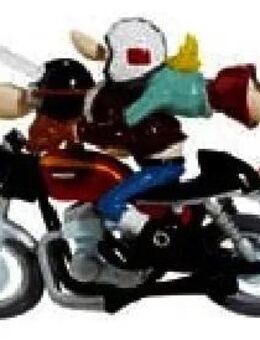 Mag eine nette Sozia/Bikerin mit mir Motorrad fahren? - Hamburg