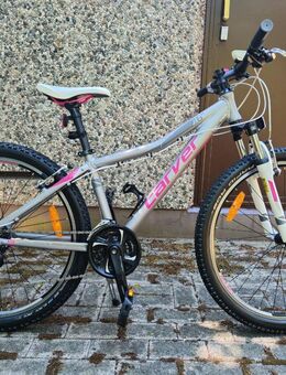 ❤️Fahrrad für Kinder Mädchen Carver STRICT 26 Zoll - Hardtail MTB - Leipzig Ost