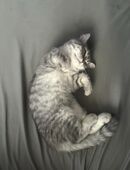 Mädchen, geboren am 14.08.2025 in 50354