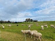 Verwirklichen Sie Ihren Traum: Paradiesisches Grundstück in Horgau! - Horgau