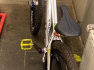 Alaudark Dirtjump Bike - Reken