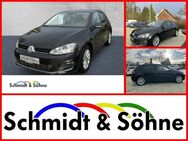 VW Golf, 1.4 TSI VII Lounge, Jahr 2016 - Hermannsburg