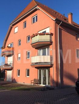 Drei Wohnungen als Komplettpaket zur Kapitalanlage im Stadtteil Eldena zu verkaufen! - Greifswald