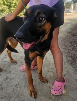 Elodie, noch etwas schüchtern - Berlin