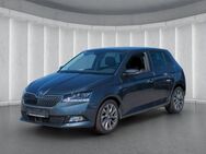 Skoda Fabia CLEVER 1.0TSI*LED ACC R-Kam Panodach Navi - Ruhstorf (Rott)