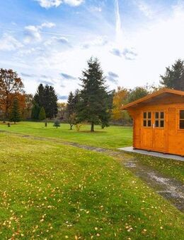 Großes 1-2-Familienhaus mit Wellnessbereich, Südterrasse und großem Garten mit Pool! - Salzgitter