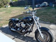 Verkaufe Harly Softail - Leegebruch