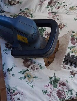 Elektrische Heckenschere - Duisburg