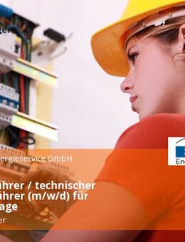 Anlagenführer / technischer Betriebsführer (m/w/d) für Biogasanlage - Neumünster