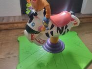 zebra - Aschersleben