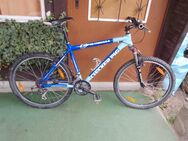 Mountainbike 100€ - Meerane