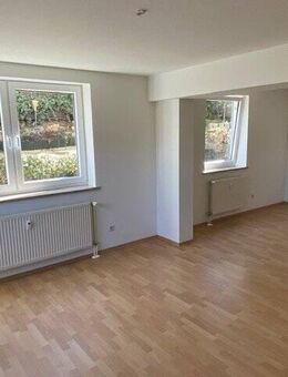 NEU *** SEHR GROßE UND HELLE 1-ZIMMER-SOUTERRAIN-WOHNUNG MIT EIGENER TERRASSE *** - Winkelhaid