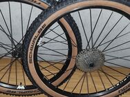 28 er Laufrad Satz Alex rims - Heiligenstadt (Heilbad)