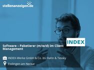 Software – Paketierer (m/w/d) im Client Management - Esslingen (Neckar)