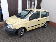 Panda Active 1.1 8V zu verkaufen, Preis VB - Römerberg