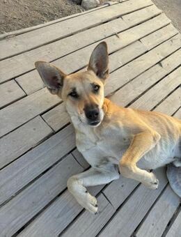 MAX IST BEREIT FÜR SEIN LEBEN 2.0 - Mönchengladbach