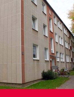 Gut geschnitten - viel Platz - "Freie Scholle eG" - Bielefeld
