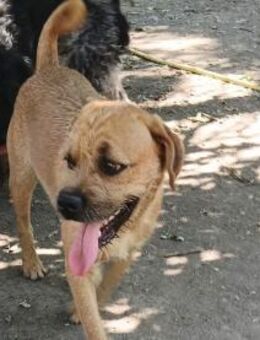 Jack freut sich auf die Welt - Olsberg