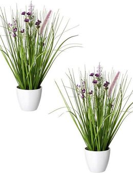 Kunstgras Blüten-Gras-Mix, Creativ green, Höhe 41 cm, in weißer Kunststoffschale
