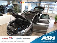 Skoda Karoq, 2.0 TDI Sportline PSD °, Jahr 2025 - Blankenburg (Harz)