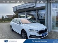 Skoda Octavia, 2.0 TDI Combi First Edition A, Jahr 2020 - Demmin