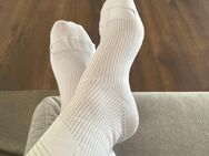 Exklusive Socken & Bilder meiner Füße – Für Liebhaber besonderer Sinnlichkeit - Münster