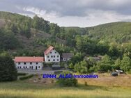 Idyllische Familienresidenz & Investitionsobjekt für Fitness & Tourismus im Harz, Berge & Wald, großes Grundstück - Ballenstedt Zentrum