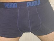 Getragene Boxershorts - Kiel