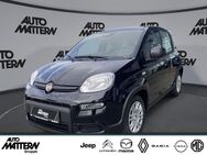 Fiat Panda, 1.0 Mild Hybrid Pandina, Jahr 2022 - Bielefeld