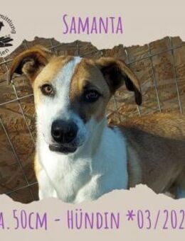 Samanta - Rotenburg (Fulda)