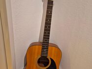 Cheri Acoustic Model A-Im Gitarre - München Laim