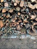 Brennholz Holz Apfelbaum, Zwetschge 75 € je Ster - Fichte nur 59 €/Ster in 63768