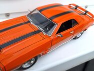 1:18 Pontiac 69 Trans AM Modellauto--- Road Signaturs - Meckenheim