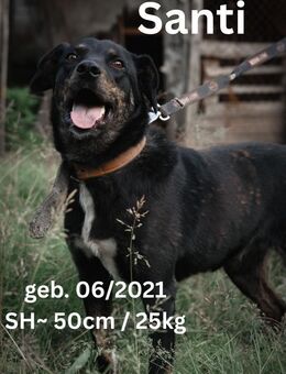 Santi - Menschenfreund mit großem Herzen - Rinteln