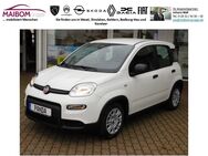 Fiat Panda, 1.0 GSE Sonder, Jahr 2024 - Geldern