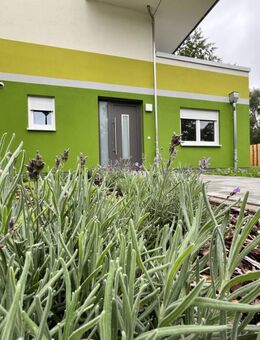 Großzügig und einzigartig: 4-Raum-Wohnung mit Charakter - Eberswalde