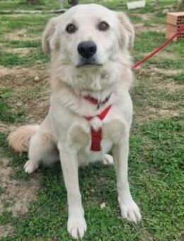 Ciko - Rieden (Rheinland-Pfalz)