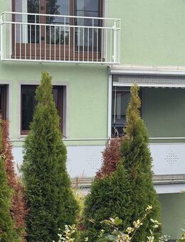 Großzügige Wohnung mit Garten, Terrasse in Marktbreit / Gnodstadt - Marktbreit