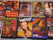 VHS Erotik - Ludwigsburg
