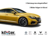 VW Passat Variant, Business-Premium ErgoSit, Jahr 2018 - Grimma
