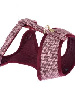 Nomad Tales Calma Geschirr, burgundy - Größe XXS: 20 - 30 cm Brustumfang