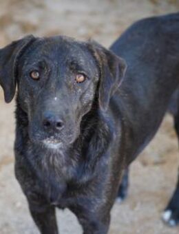 Taka wartet seit 1 Jahr - Bad Vilbel