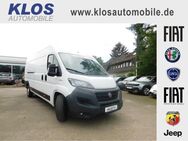 Fiat Ducato, MAXI KAWA 35 L5H2 140 MJET, Jahr 2019 - Dreieich