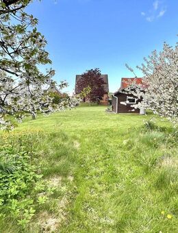 Freistehendes Viebrockhaus auf 1825 m² Traumgrundstück in 2. Reihe! - Jork